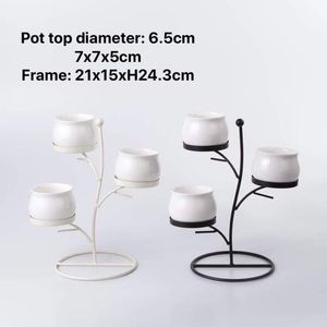 Succulent ceramic pot with metal frame